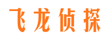 宛城侦探公司